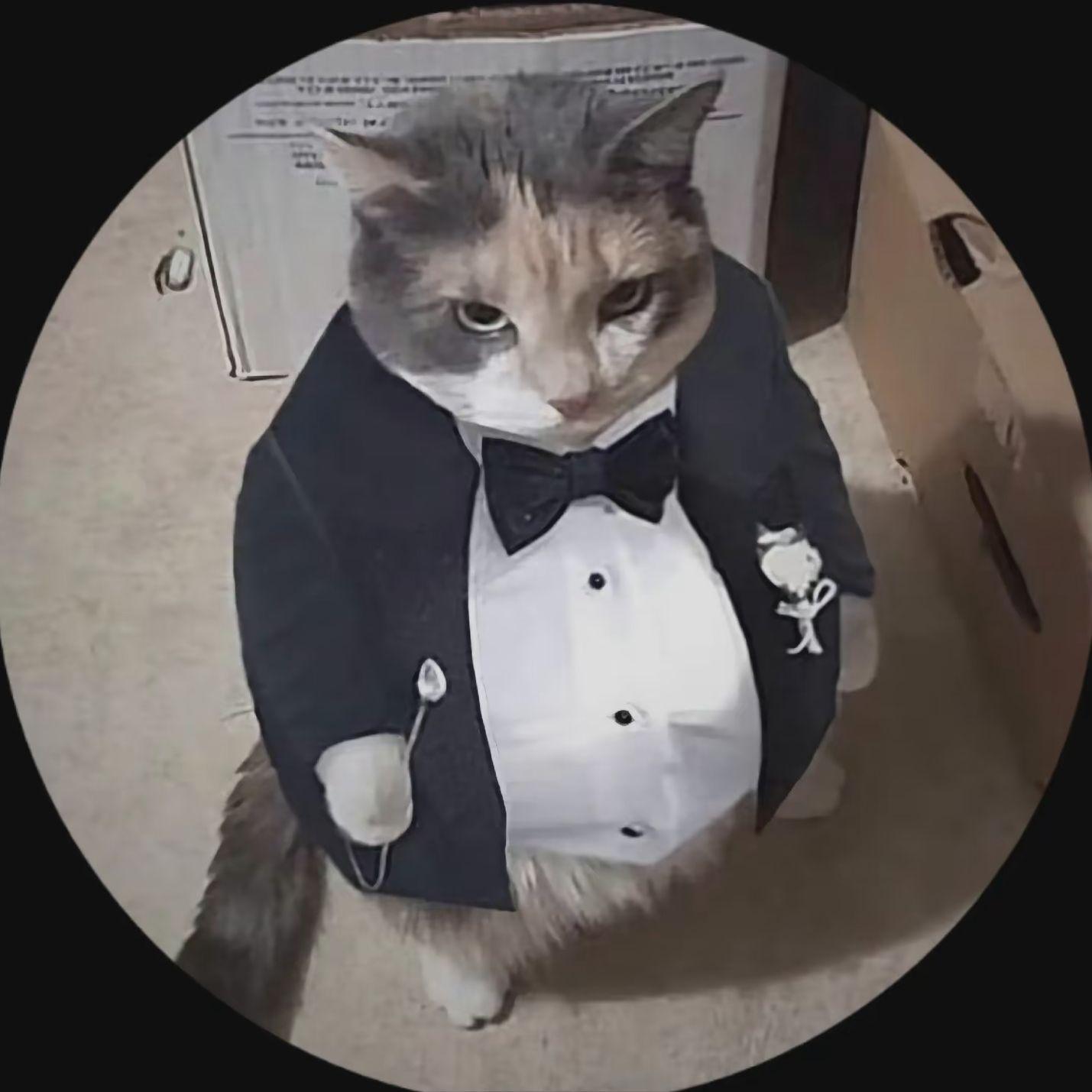GarFFiLD228 avatar