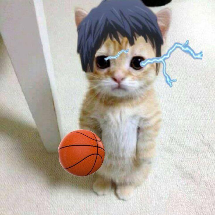 polosatkin3 avatar