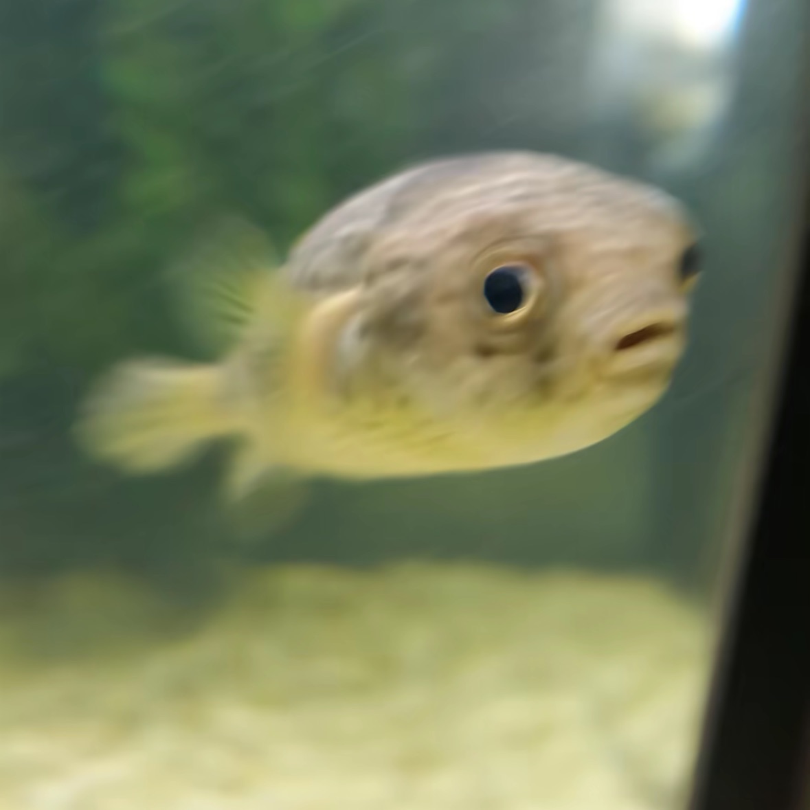 krwenn0