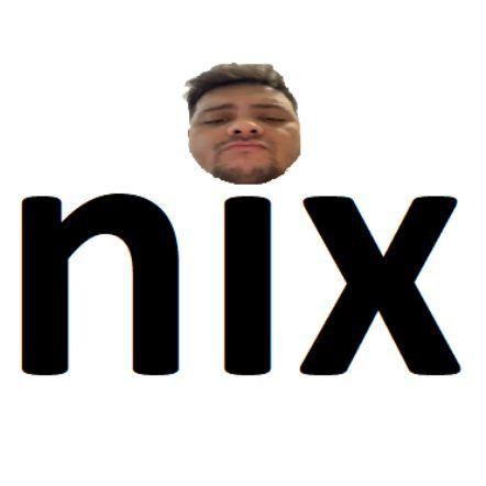 staeckinix