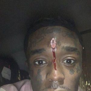 fuiss666