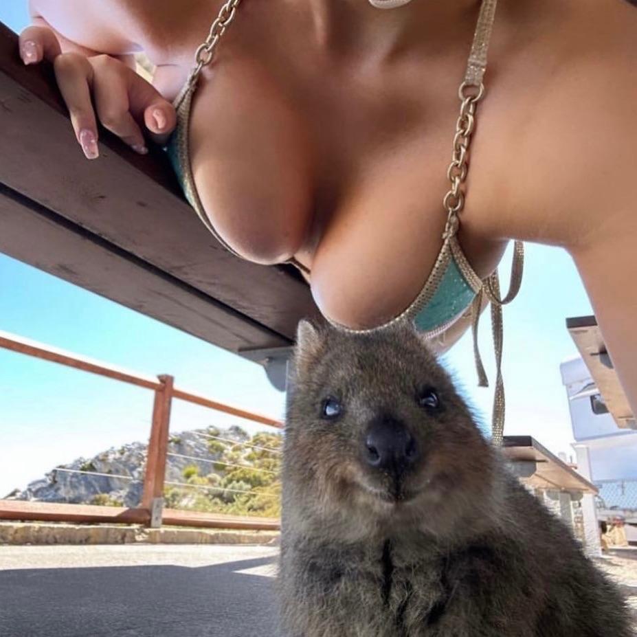 danya666 avatar