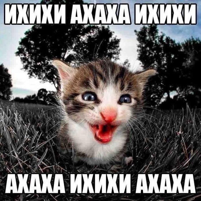 4EPT0BKA