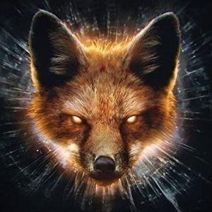 iTzNicFox avatar