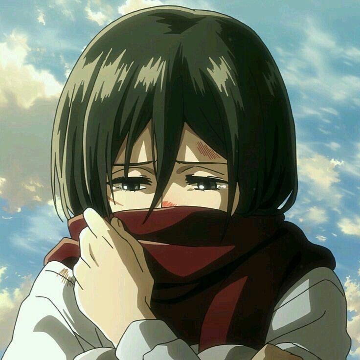 pla1n55 avatar