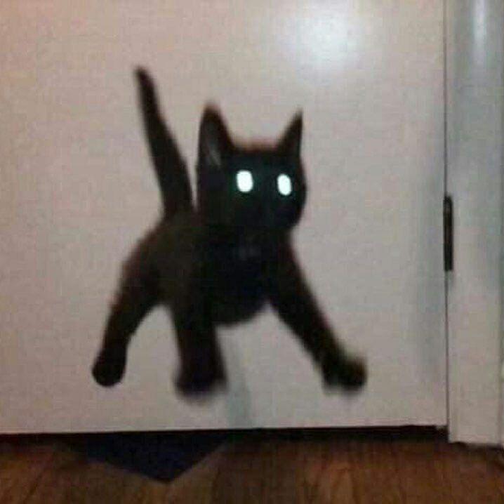 PISKADER666 avatar
