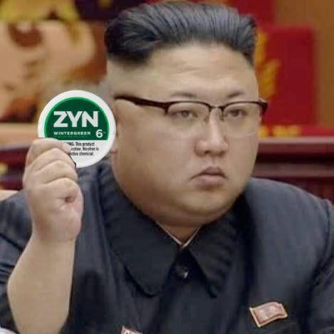 Zyn Jong Un