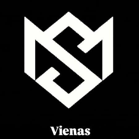 Vienas avatar