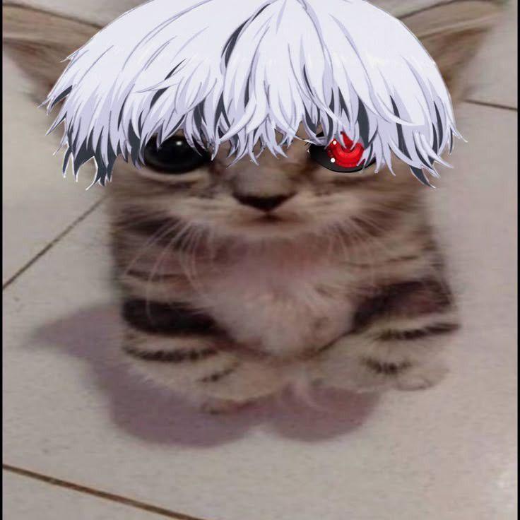 kartoshka avatar