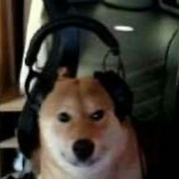 Faceit profile picture for @sup