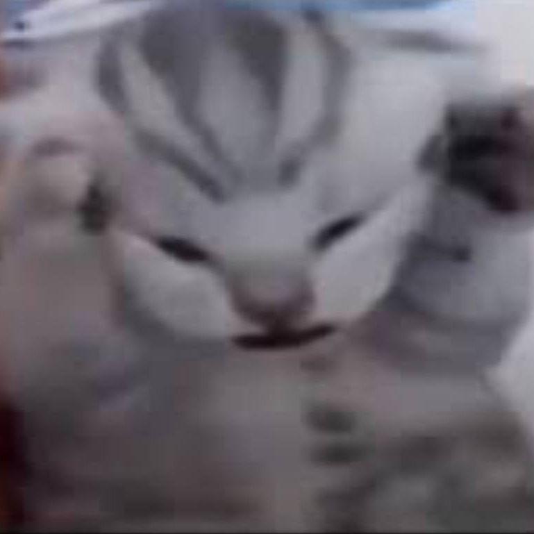 Koyadzin avatar