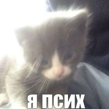 qwinni