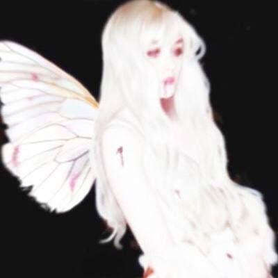 -tor1337-