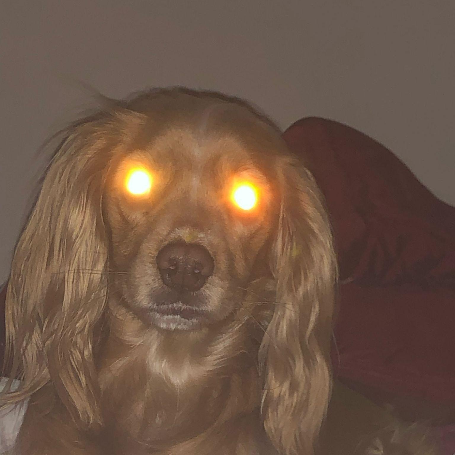 iBanned