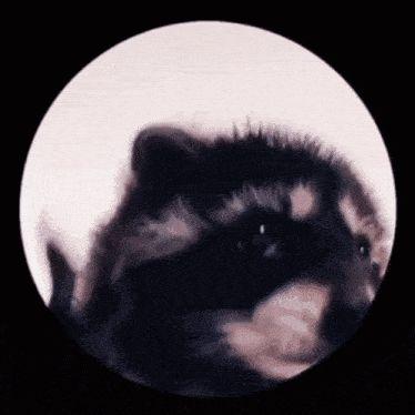 Bogdan4ik avatar