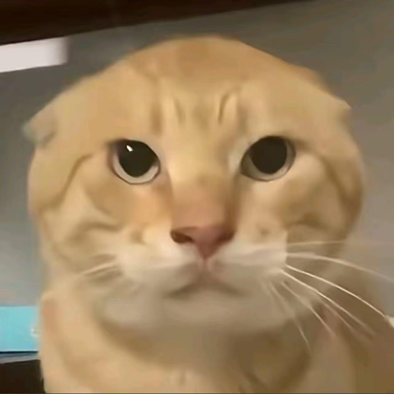 realuu avatar