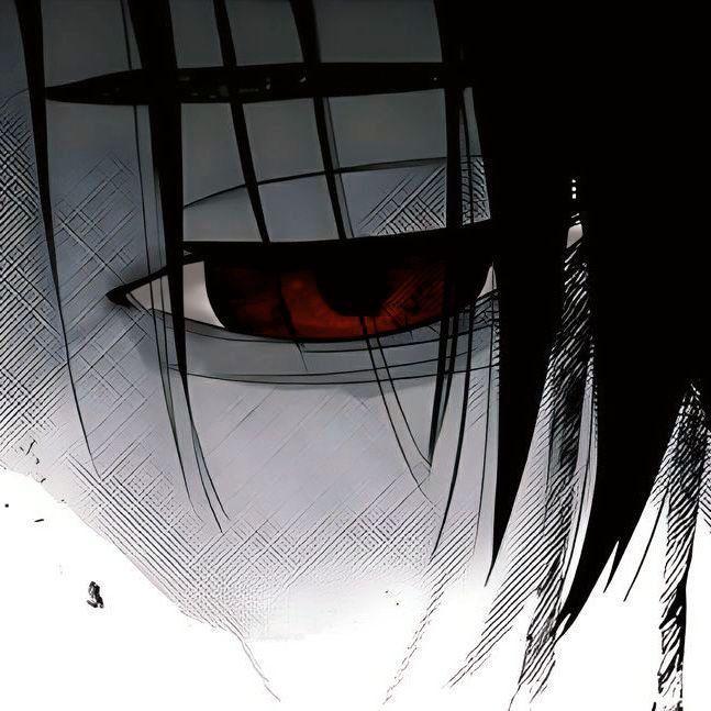 sh1seido avatar