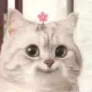-Cloudy- - Player Profile - FACEIT.com