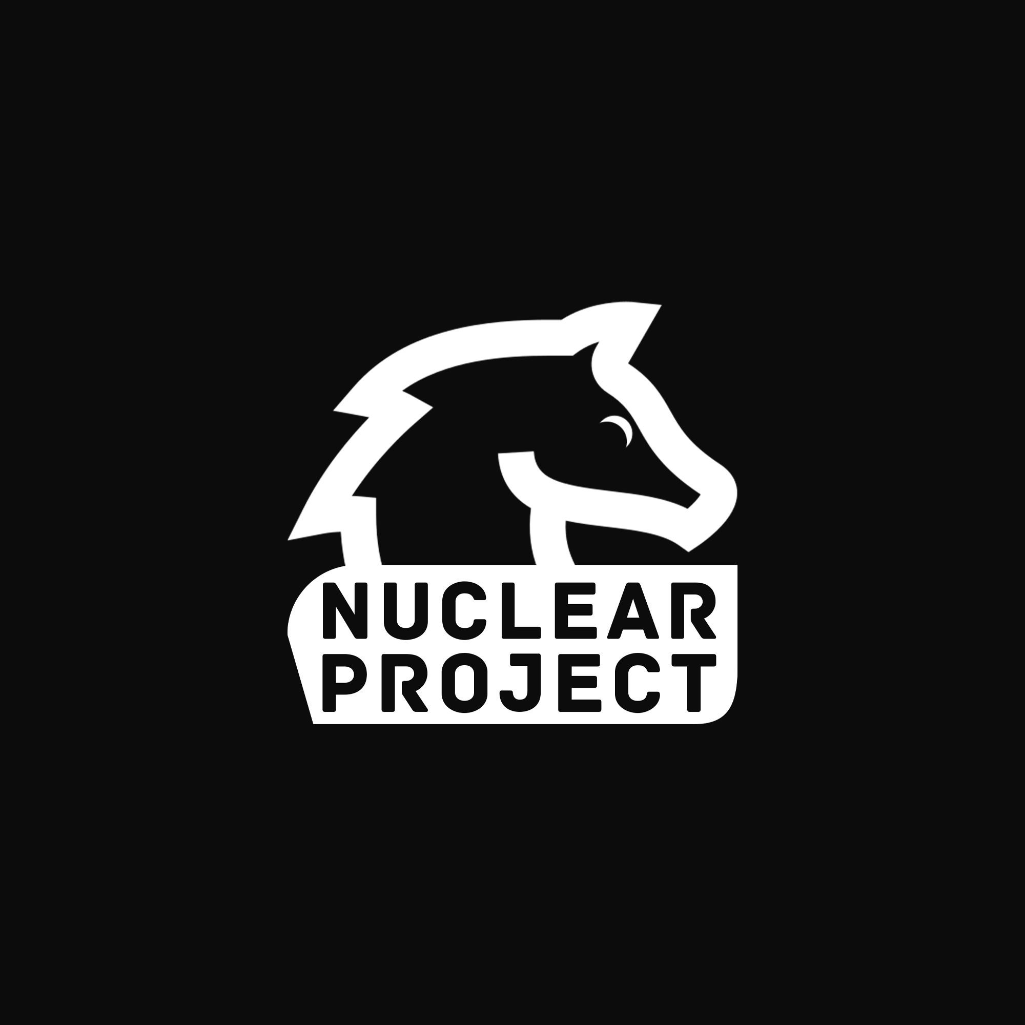 NUCLEAR PROJECT