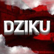 Player DZIKUS_1346 avatar