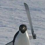 PinguMachete