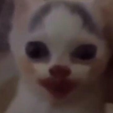 THICC_B01 avatar
