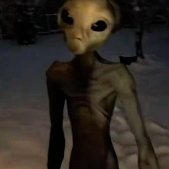 r1su1 avatar