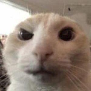 ww0keee avatar