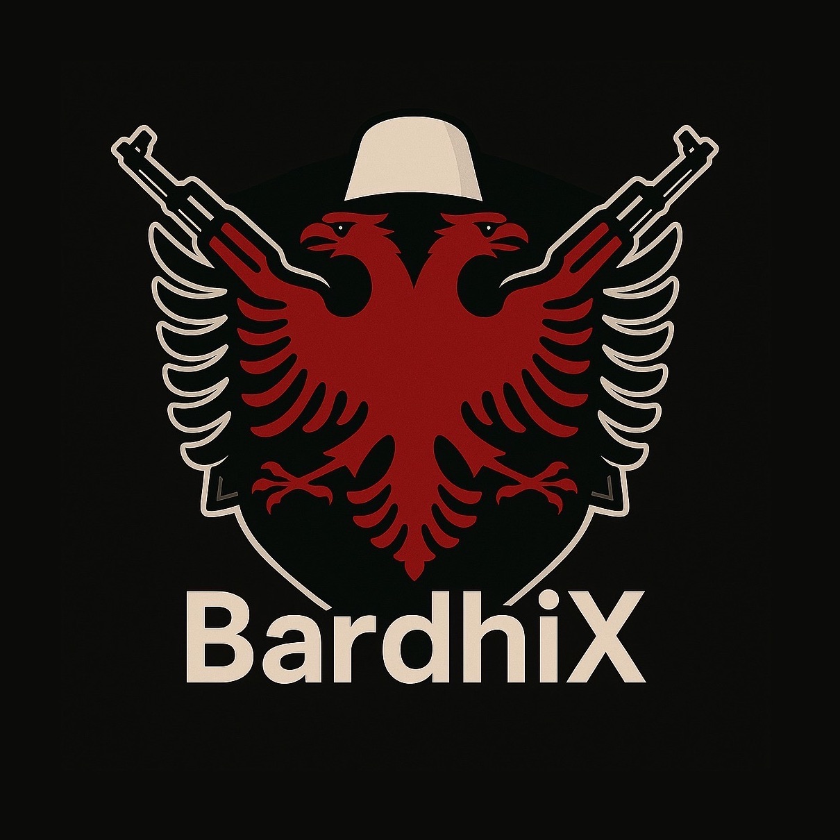 team_bardhiX