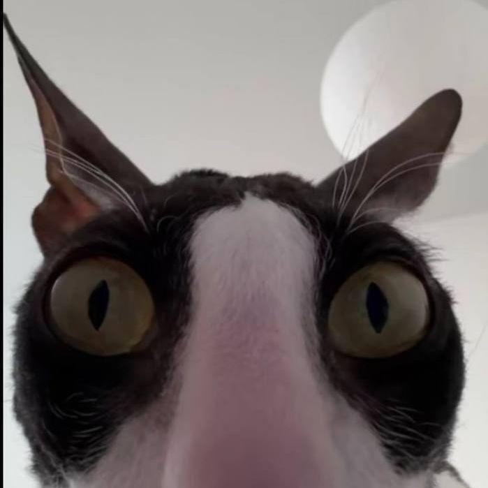 amantazi2 avatar