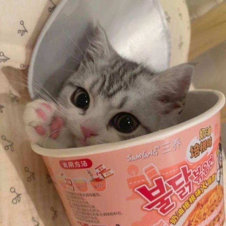 myaaw