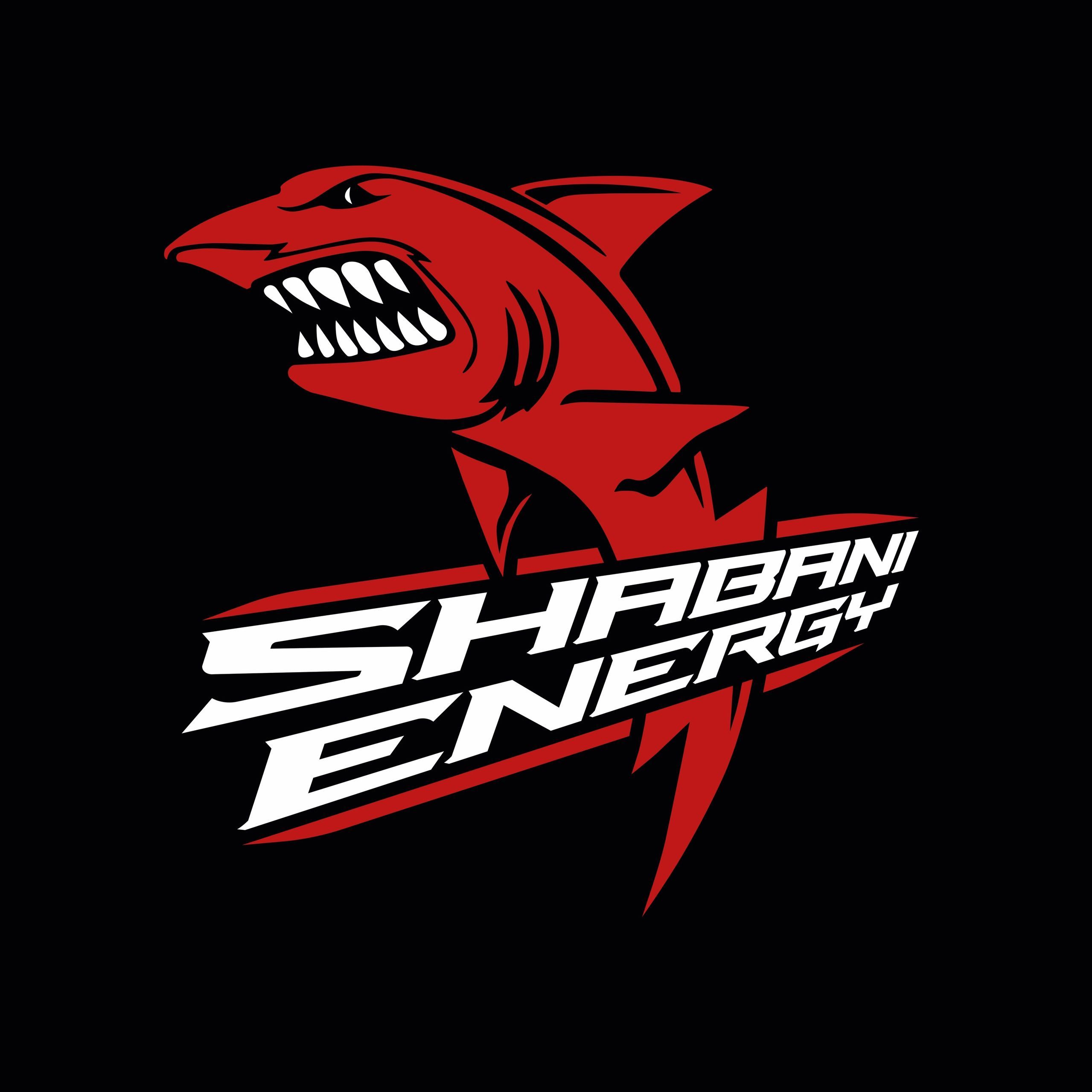 SHABANI ENERGY