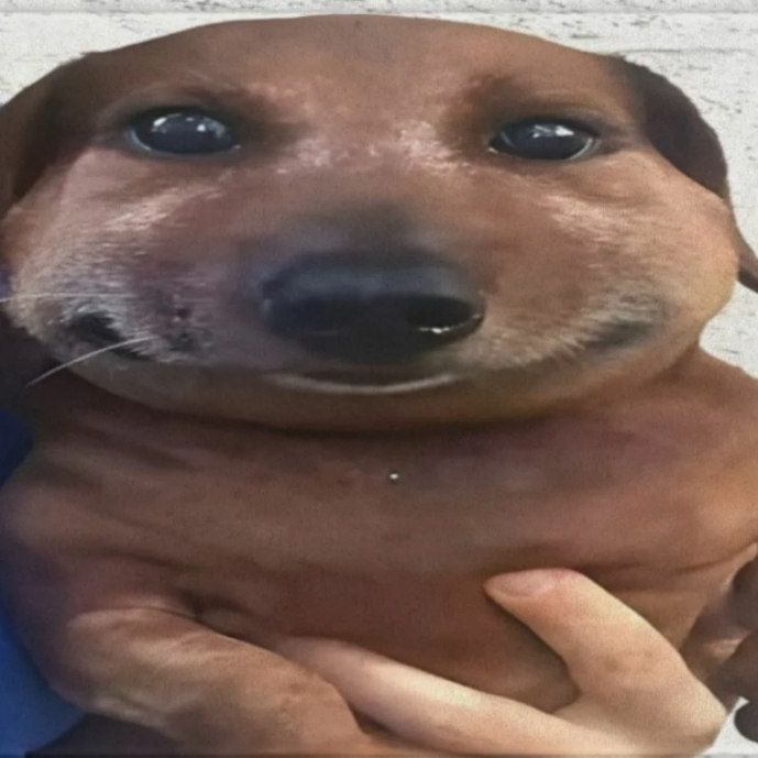 askerust