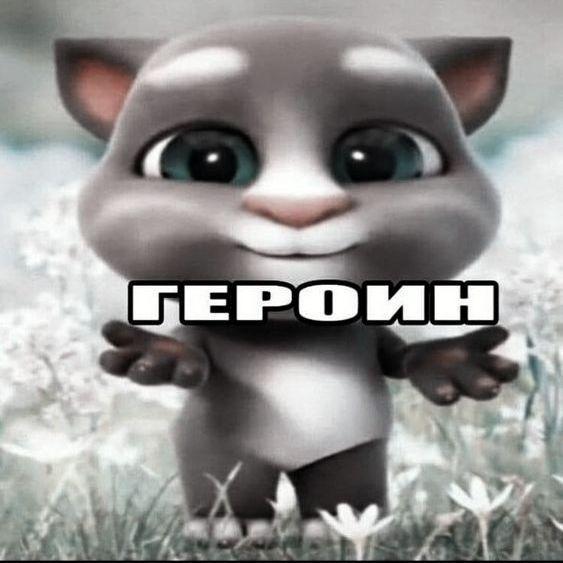 p10relIIka