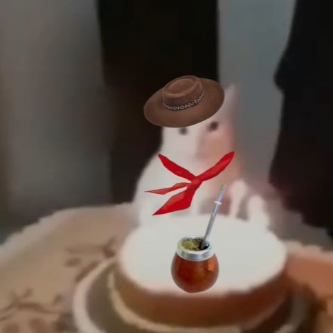 mssqtbd4