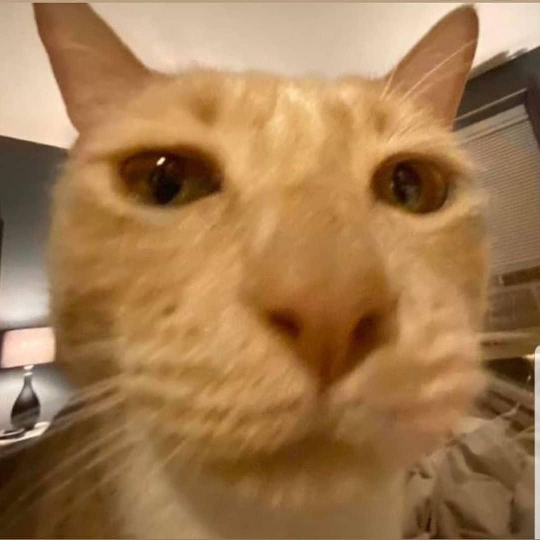 GrimmRrJ avatar