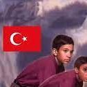 turkeystries