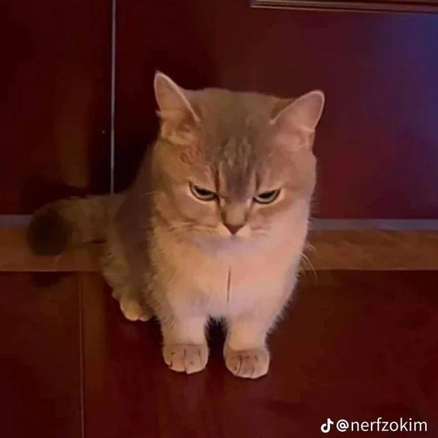 Jinr0 avatar