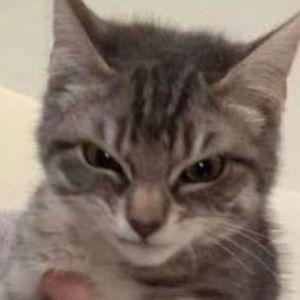 Player danishyb7 avatar