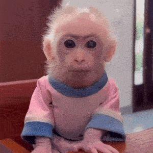 DumontVSU avatar