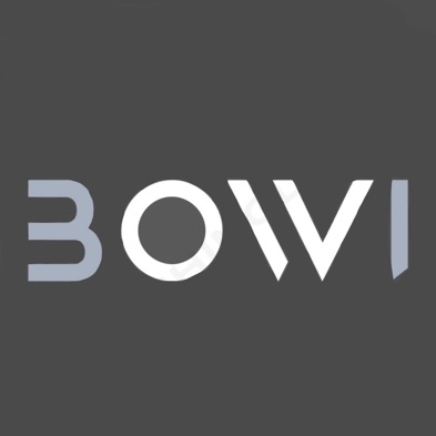 Bowi_team