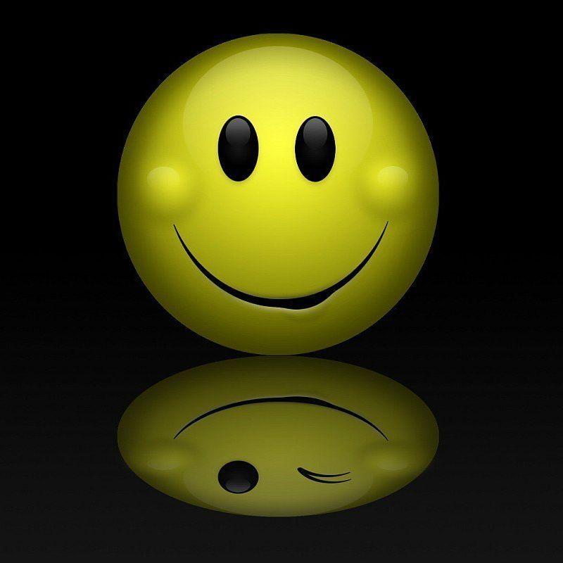 EnclaveXL avatar