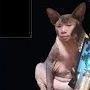 Patshux avatar
