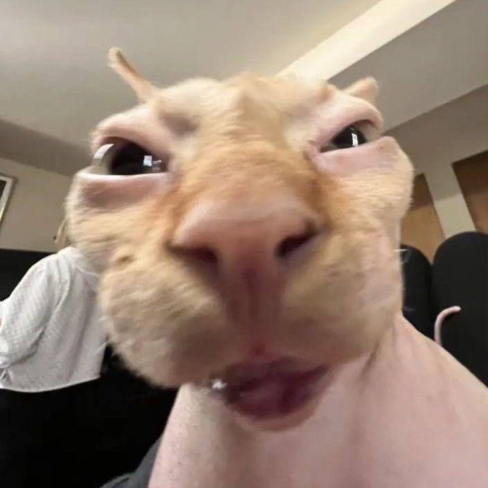 PapazanCS avatar