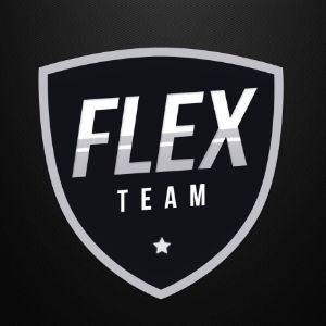 Flex team