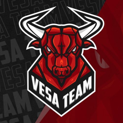 Vesa Team