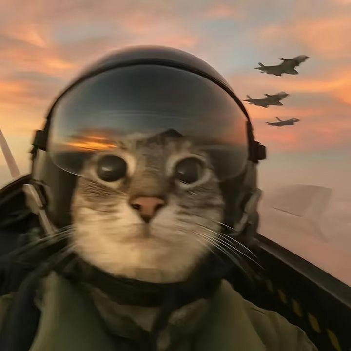 turb0_507 avatar