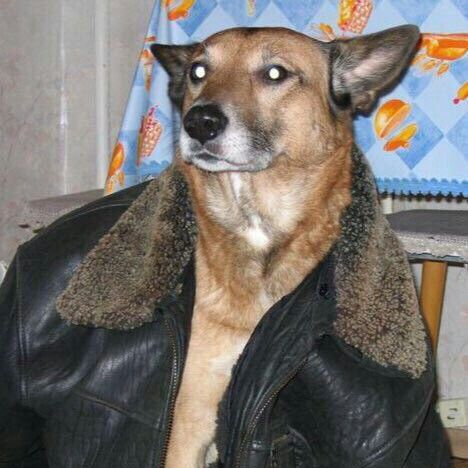 Kom_somol