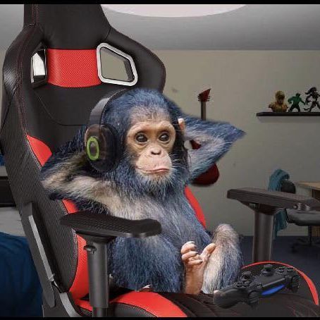 MonkeyGaming
