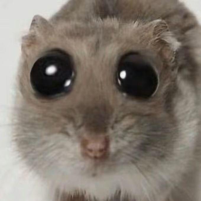_farvex_